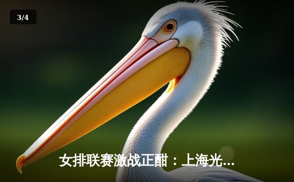 女排联赛激战正酣：上海光明优倍横扫江苏中天钢铁，李盈莹独揽28分率天津渤海银行逆转 - 3